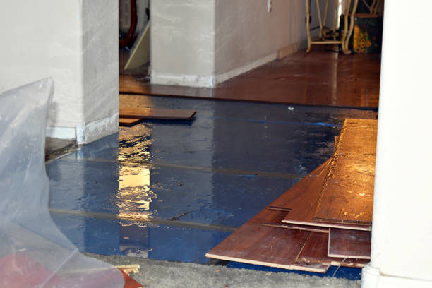 Professional Basement Water Removal technician working in Oxford, KS